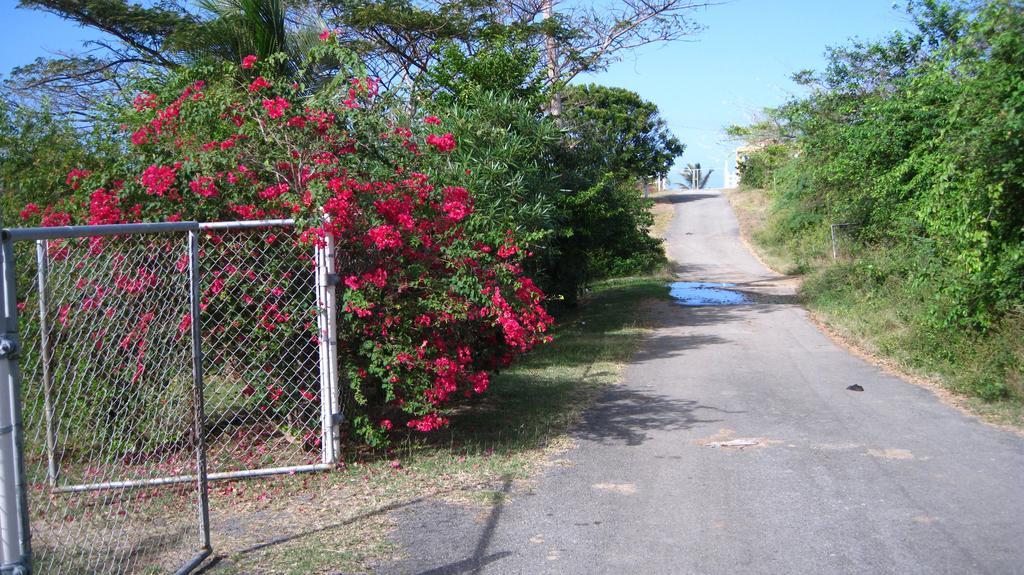 Tranquility By The Sea Villa Vieques Ngoại thất bức ảnh