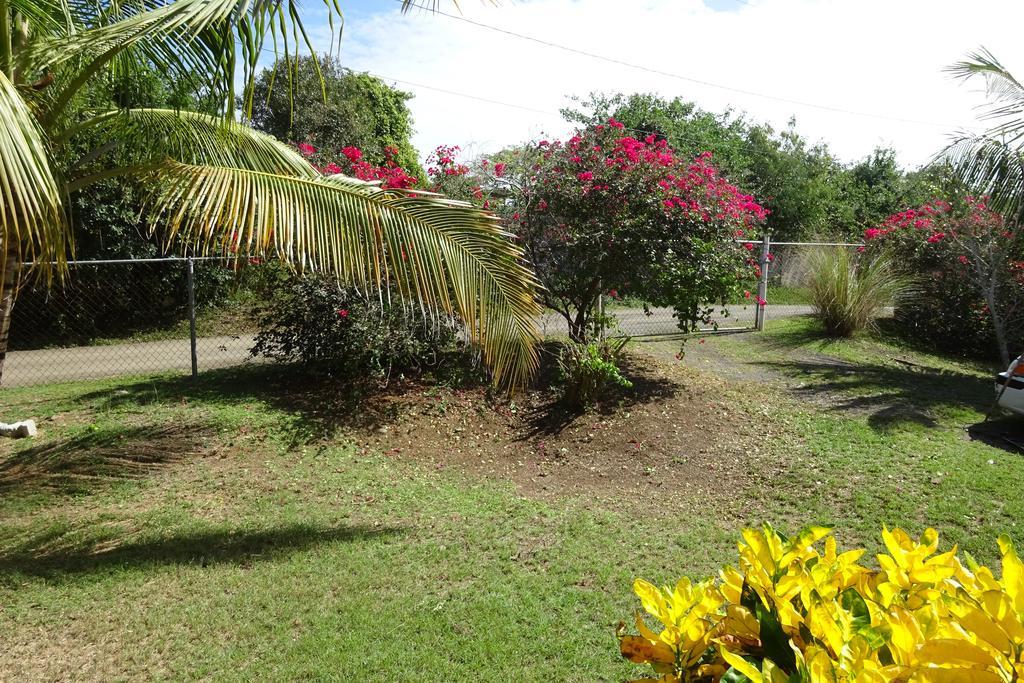 Tranquility By The Sea Villa Vieques Phòng bức ảnh