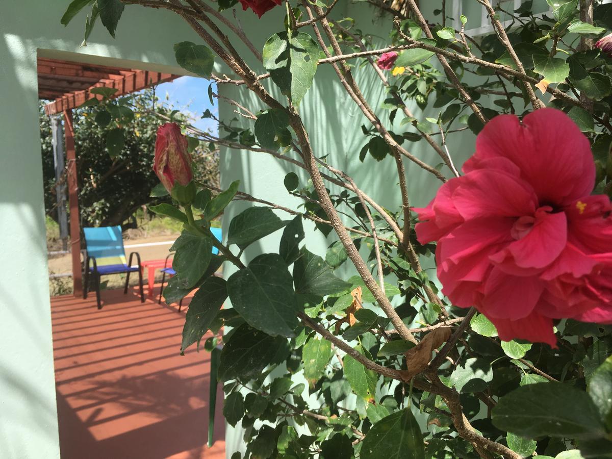 Tranquility By The Sea Villa Vieques Ngoại thất bức ảnh