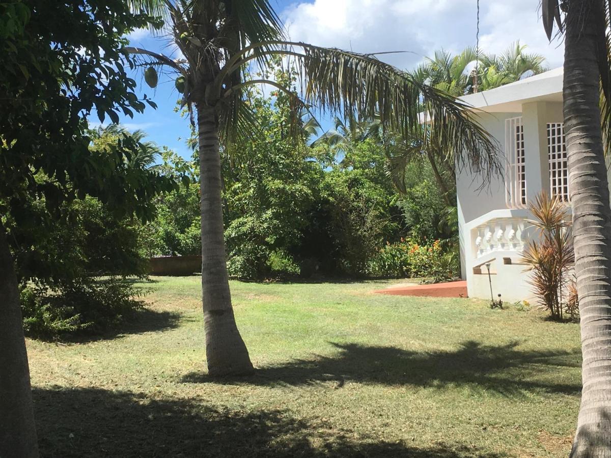 Tranquility By The Sea Villa Vieques Ngoại thất bức ảnh